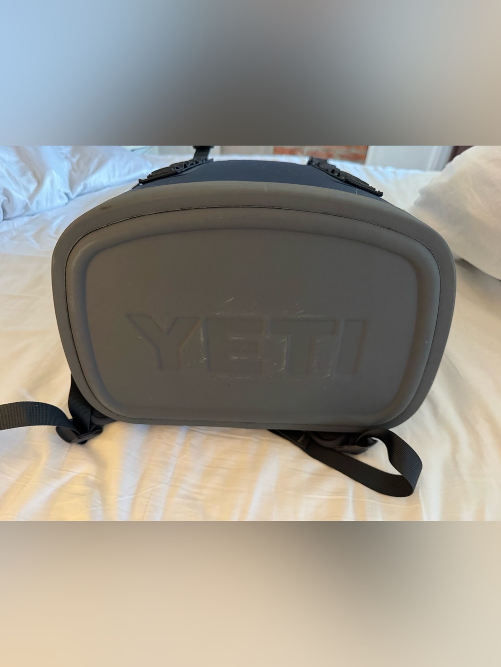 Yeti Hopper m20 cooler backpack - Picture 8 of 13